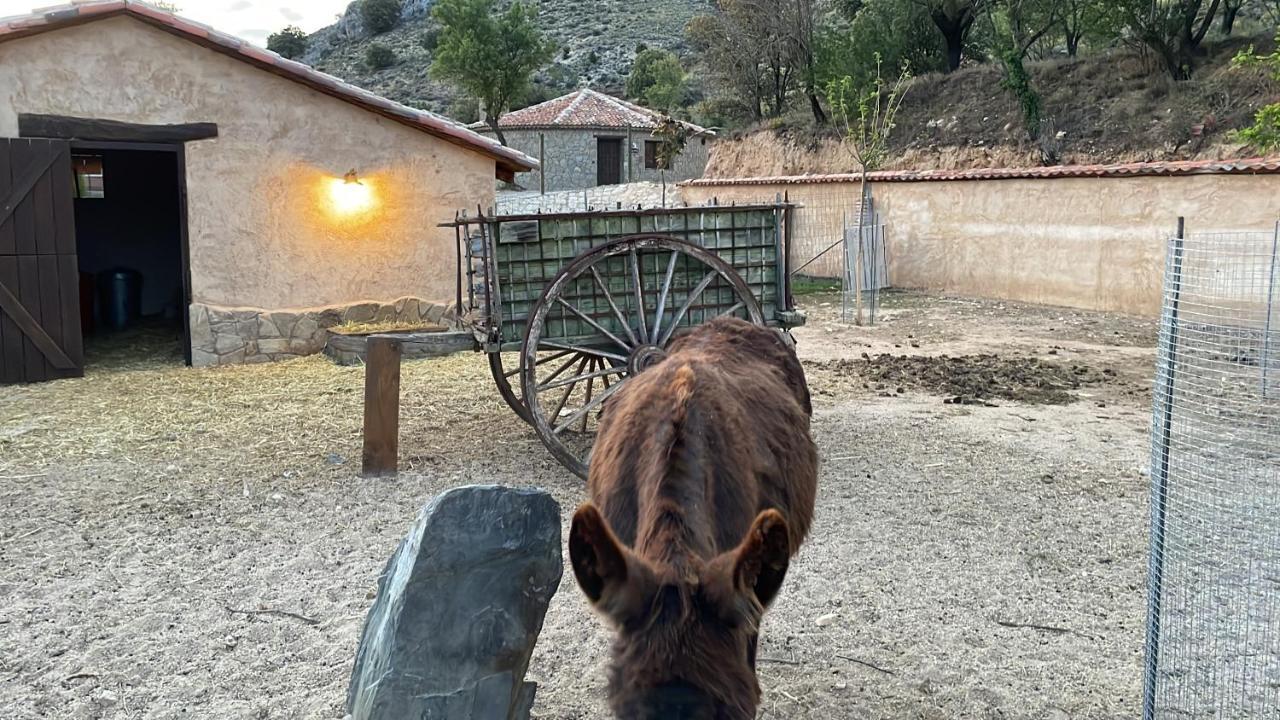 Las Villas De Fuentiduena Eksteriør bilde